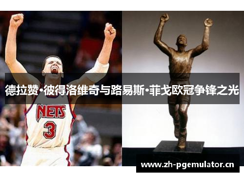 德拉赞·彼得洛维奇与路易斯·菲戈欧冠争锋之光 德拉赞·彼得洛维奇与路易斯·菲戈欧冠争锋之光