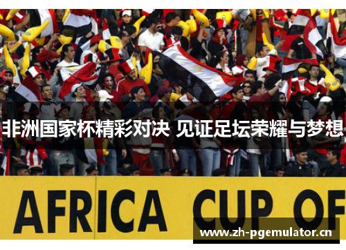 非洲国家杯精彩对决 见证足坛荣耀与梦想 非洲国家杯精彩对决 见证足坛荣耀与梦想